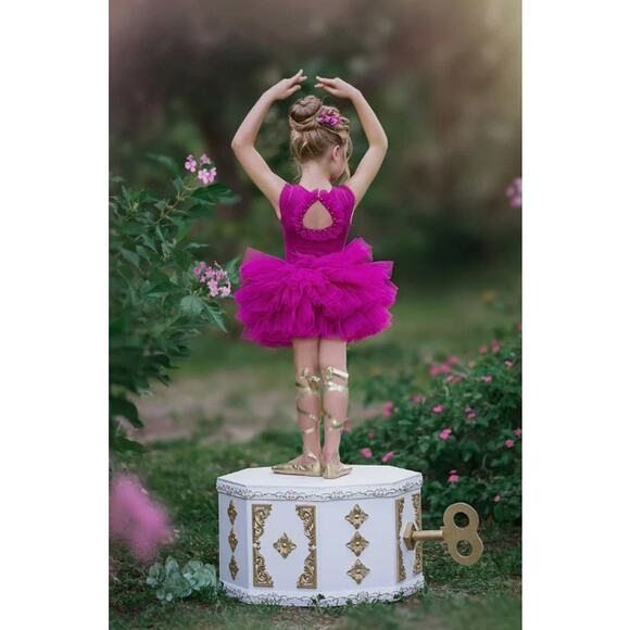 NWT Dollcake Dress Sugar Plum Tutu Leotard Set Girls Sz 7 Pink Floral Applique - Picture 2 of 15